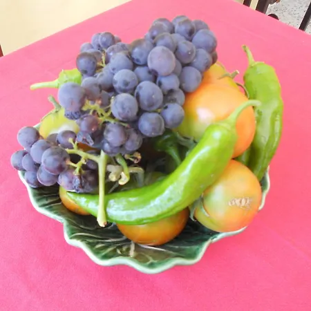 Anton Piche With Pool-adults Only منزل ريفي غراناديا دي أبونا