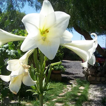 Anton Piche With Pool-adults Only منزل ريفي