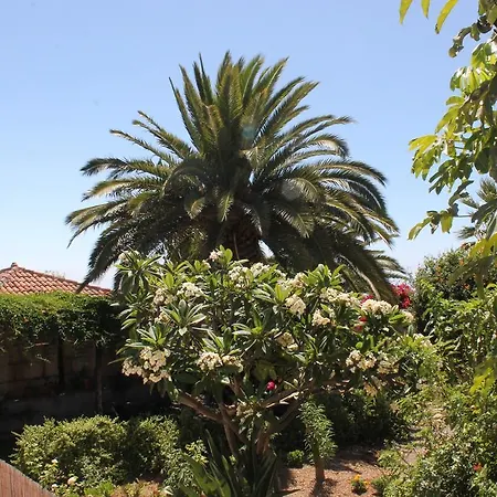 Anton Piche With Pool-adults Only *