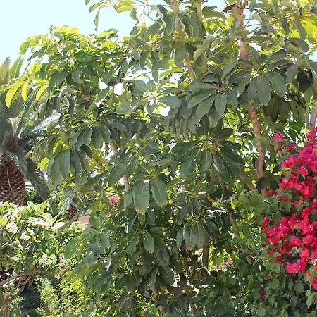 Anton Piche With Pool-adults Only منزل ريفي