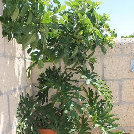 Anton Piche With Pool-adults Only *