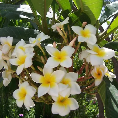 منزل ريفي Anton Piche With Pool-adults Only