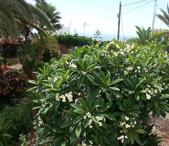 Anton Piche With Pool-adults Only *