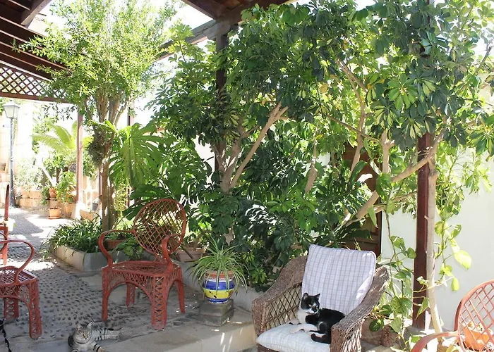 Anton Piche With Pool-adults Only Εξοχικό σπίτι Granadilla De Abona