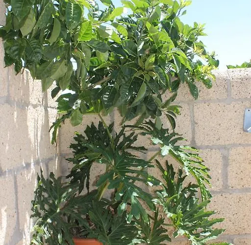 Anton Piche With Pool-adults Only *