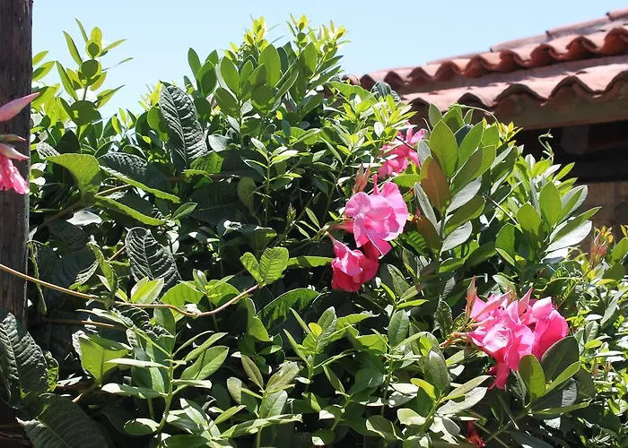 Anton Piche With Pool-adults Only Εξοχικό σπίτι Granadilla De Abona