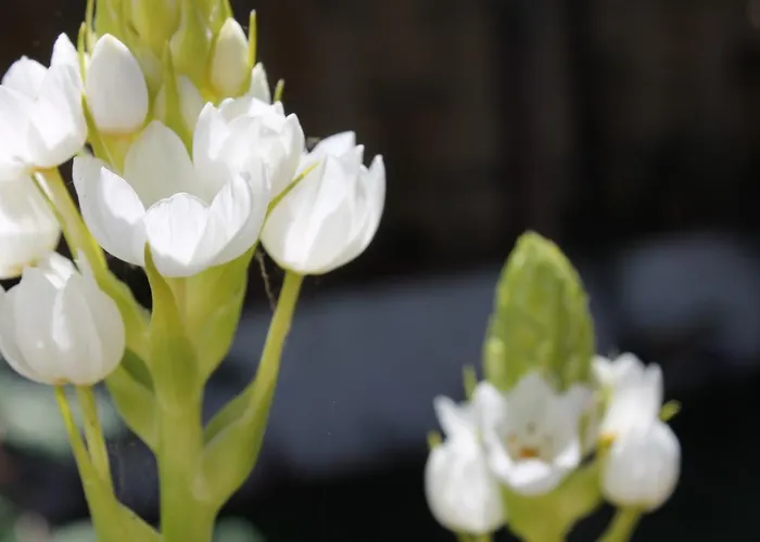 Anton Piche With Pool-adults Only *