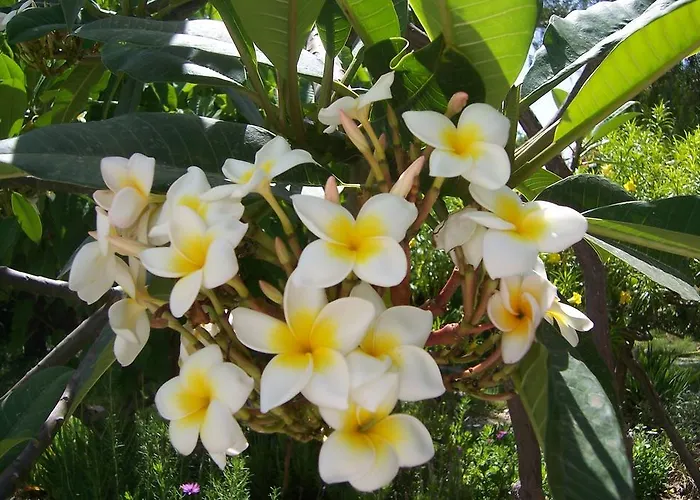 Εξοχικό σπίτι Anton Piche With Pool-adults Only