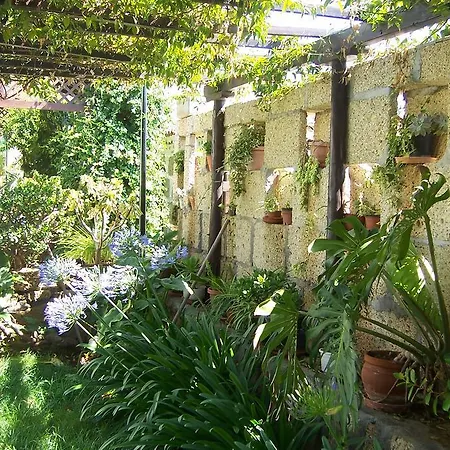 Anton Piche With Pool-adults Only Venkovský dům Granadilla De Abona