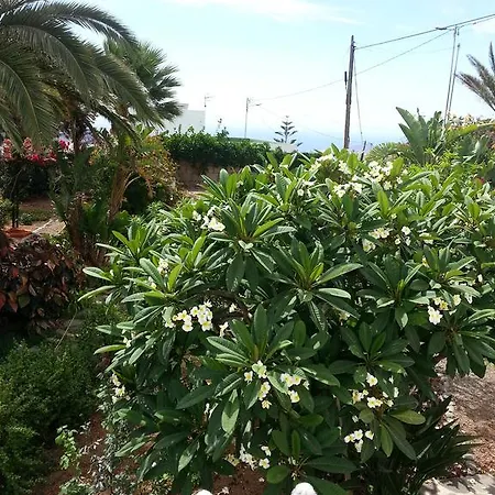 Anton Piche With Pool-adults Only *