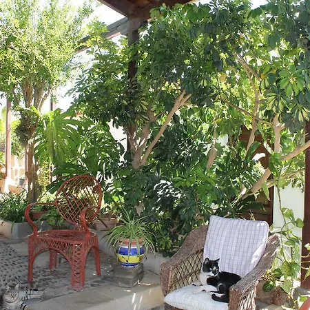 Anton Piche With Pool-adults Only Venkovský dům Granadilla De Abona