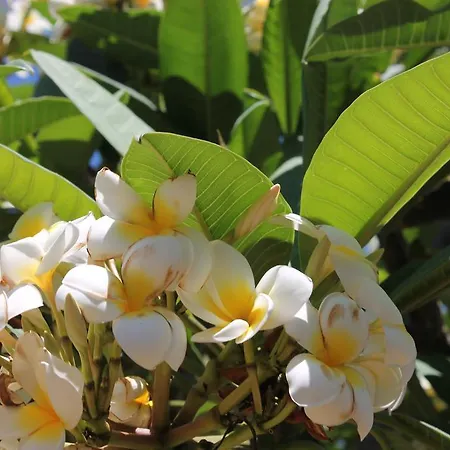 Hétvégi ház Anton Piche With Pool-adults Only *