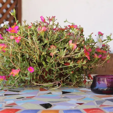 Anton Piche With Pool-adults Only Venkovský dům