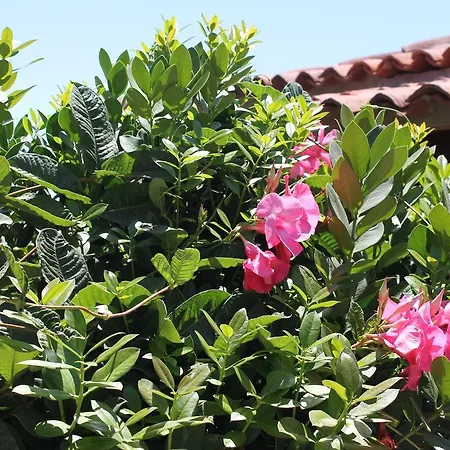 Anton Piche With Pool-adults Only Venkovský dům Granadilla De Abona