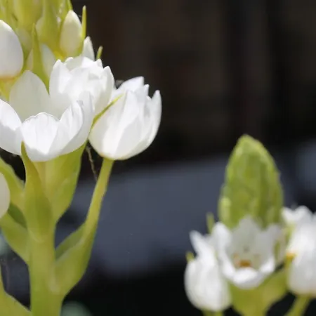 Anton Piche With Pool-adults Only *