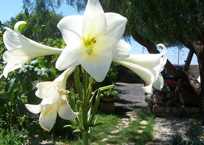 Anton Piche With Pool-adults Only Kır Evi