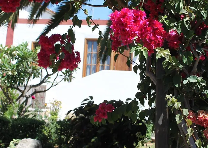 Kır Evi Anton Piche With Pool-adults Only