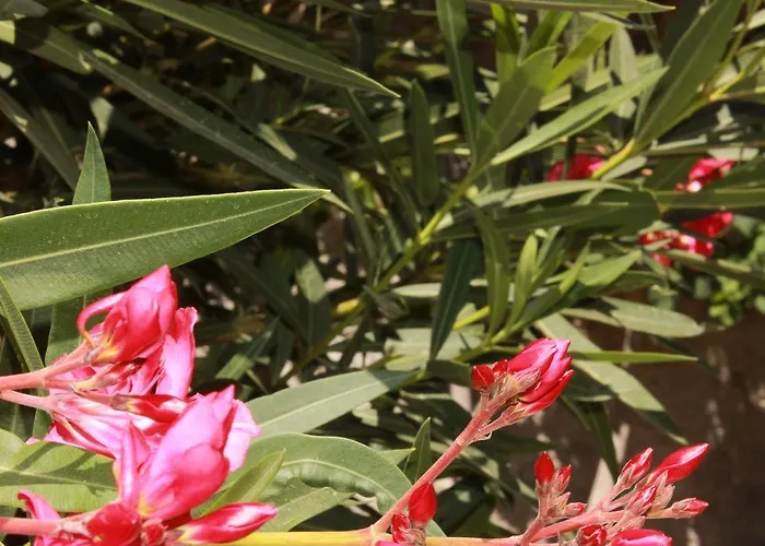 Anton Piche With Pool-adults Only Granadilla De Abona