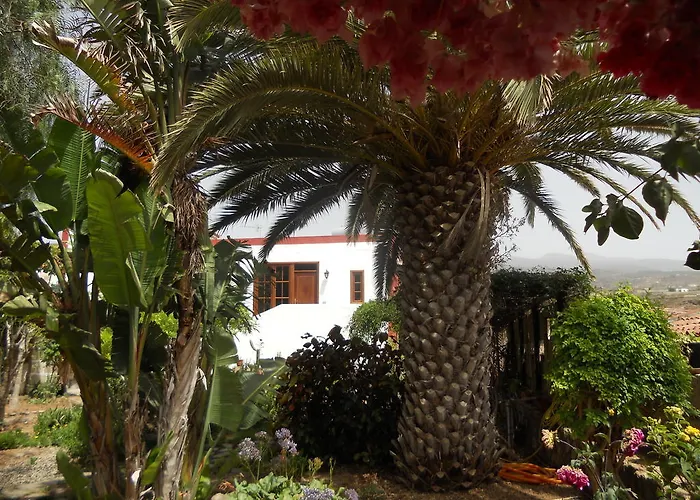 Kır Evi Anton Piche With Pool-adults Only