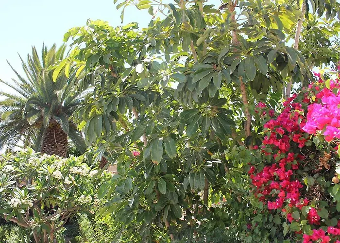 Anton Piche With Pool-adults Only Lantställe