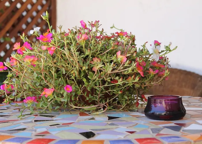 Anton Piche With Pool-adults Only Lantställe